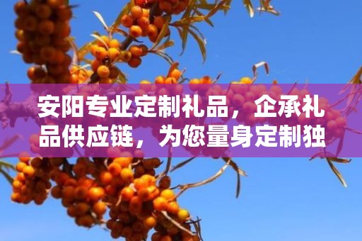 安阳专业定制礼品，企承礼品供应链，为您量身定制独特礼品