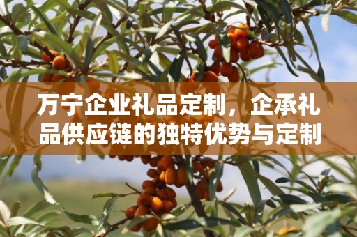 万宁企业礼品定制，企承礼品供应链的独特优势与定制体验